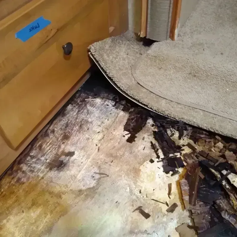 Best Wood Floor Water Damage Service in Weirton Heights, WV